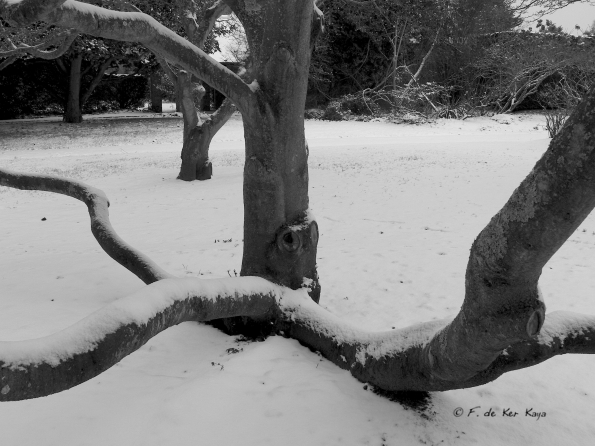 Bois des Moutiers Winterreise (37)